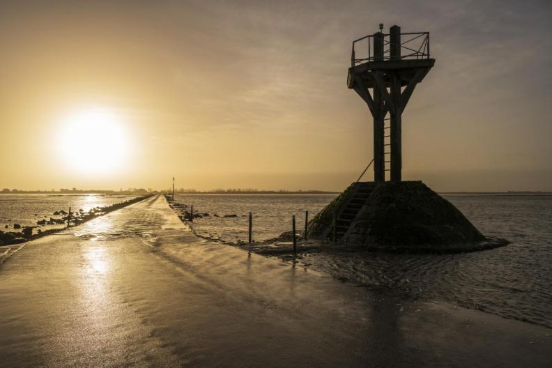 Le Parc Des Mimosas Villa Noirmoutier-en-l'Ile Kültér fotó
